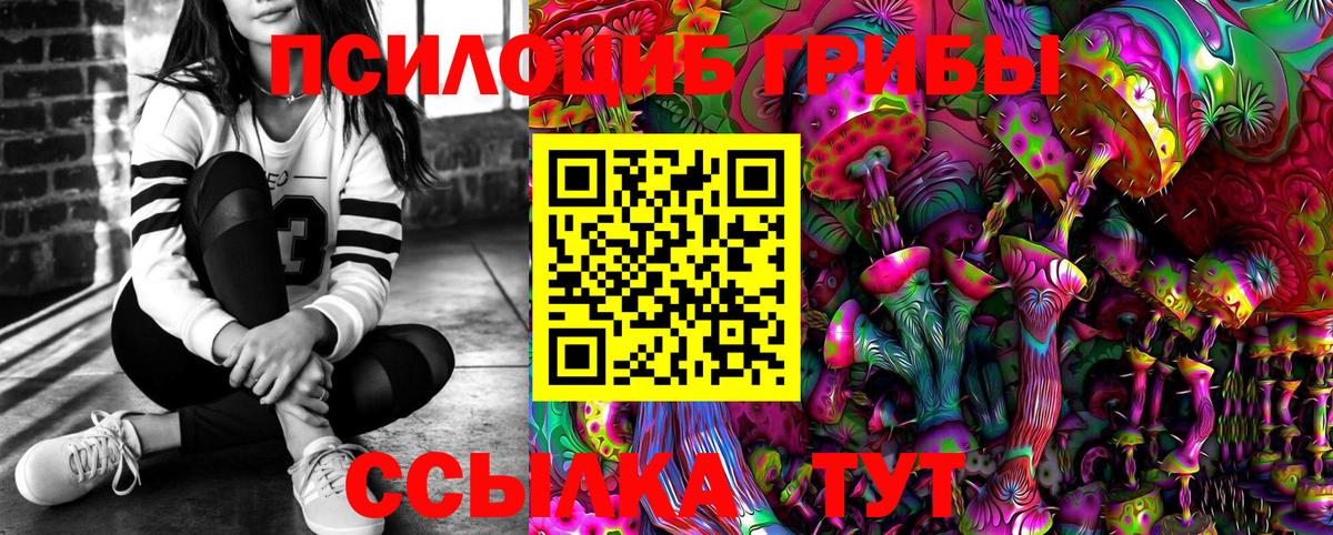 Сертолово  Псилоцибиновые грибы мухоморы  Вход с VPN 